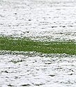 FC Den Bosch - Fortuna Sittard afgelast